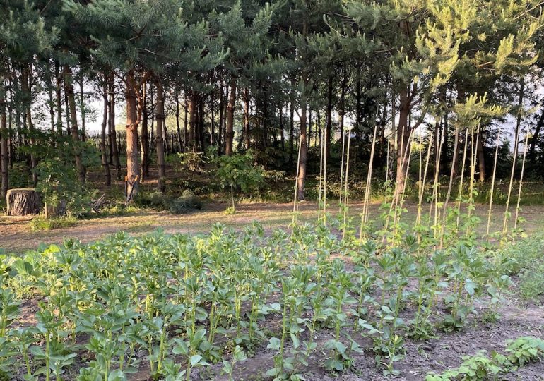 Będą liczyć się podstawowe umiejętności do życia i przetrwania